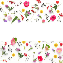 Wall Mural - Frame from flowers and berries with place for text, top view. The concept of summer, spring, Mother's Day, March 8. 
