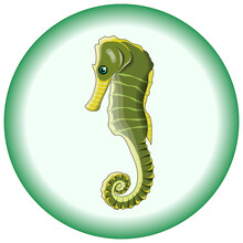 Vector Composition Of Green Seahorse On A Round Light Green Background