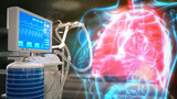 Fototapeta  - human lungs and ICU covid ventilator, cg medical 3d illustration