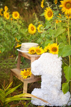 Decorations For The First Birthday Party In A Sunflower Field