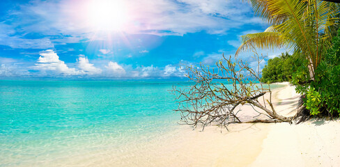 Wall Mural - wonderful view of natur of tropical island in hot summer day. bright colors of summer. dazzling sun 