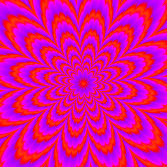 Wall Mural - scarlet flower. red flower blossom. optical expansion illusion.