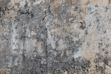 Wall Mural - Dirty concrete wall texture close up