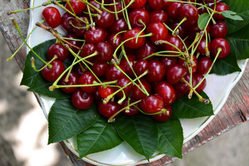 Canvas Print - Cherry organic berries harvest. Fresh cherries on vintage plate on grunge background in the garden. Berry for desserts, cakes, smoothie or jam.