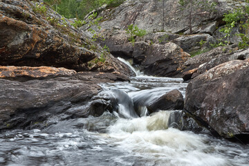 A small brook streaming down between rocks in a forest in summer time