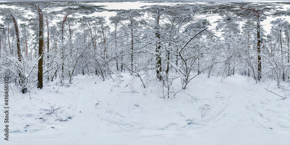 Snow 360 Winter full spherical hdri panorama 360 degrees angle view on path in ...