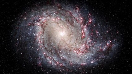 Wall Mural - Approaching to purple spiral galaxy in outer space, animated rotation and infinite flying stars. Based on image furnished by Nasa