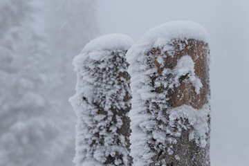 Frosted timber fence covered with fresh snow. Texture of ice on wood. Foggy weather in background