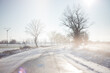 © PAULINA - Snow covered street among trees