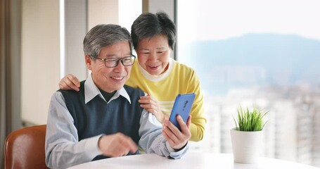 Wall Mural - senior couple have video chat