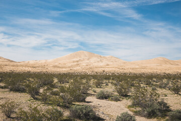 Wall Mural - Kelso Dunes in Mojave National Preserve, California