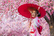 © geargodz - woman in yukata (kimono dress) holding umbrella and looking sakura flower or cherry blossom blooming in garden