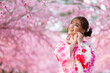 © geargodz - woman in yukata (kimono dress) looking sakura flower or cherry blossom blooming in garden