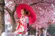 © geargodz - woman in yukata (kimono dress) holding umbrella and looking sakura flower or cherry blossom blooming in garden