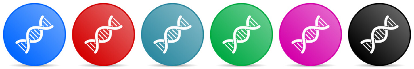 Poster - Dna, genetic molecule vector icons, set of circle gradient buttons in 6 colors options for webdesign and mobile applications