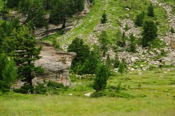 huge rock between trees in a mountain valley