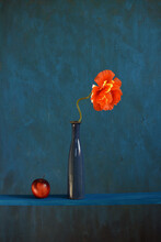 Red Poppy In Vase And Apple On Shelf