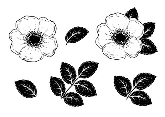 Wall Mural - hand drawn roses flowers silhouette set with leaves