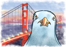 Seagull Takes Selfie At The Golden Bridge 