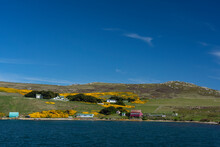 View From West Point Island, West Falkland Islands.