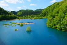 初夏、鎧畑ダムの水没林。仙北、秋田、日本。5月下旬。