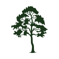 Poster - green tree plant silhouette forest