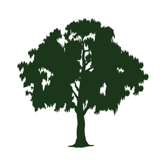 green tree leafy plant silhouette forest