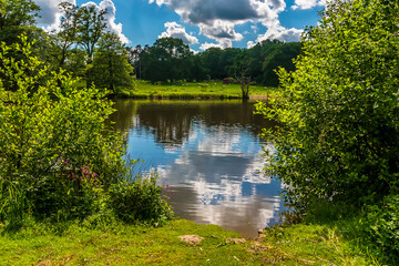 Wall Mural - Reflections of the sky and clouds viewed through a gap in the bushes around  a lake in Warwickshire. UK on a bright summers day