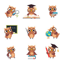 Wise Brown Owl In Various Actions Set, Cute Bird Teacher Cartoon Character Teaching At School Vector Illustration
