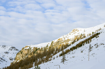 Poster - Beautiful view of the mountain and the forests covered in snow on a cold winter day