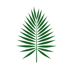 Wall Mural - green palm leaf isolated icon.