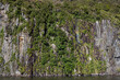Waterfall - Able Tasman - New Zealand