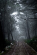 Dark landscape, mountain road with fog and traces of snow