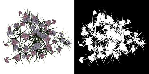 Wall Mural - Top view of Iris Ensata Tree. PNG with alpha channel to cutout. Made from 3D model for compositing.