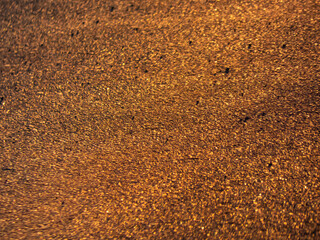 Wall Mural - Beautiful golden sunset light reflection on asphalt - purposely blurred and textured background
