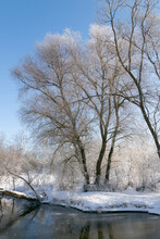 The Winter View Of Sunny Frosty Day With Lot Of Snow, Frozen Trees And Plant