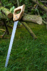 Poster - Vertical shot of a saw on a cut tree branch in thegarden