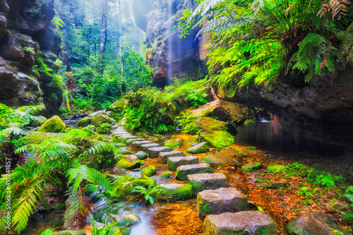 BM GC Steps creek ferns © Taras Vyshnya