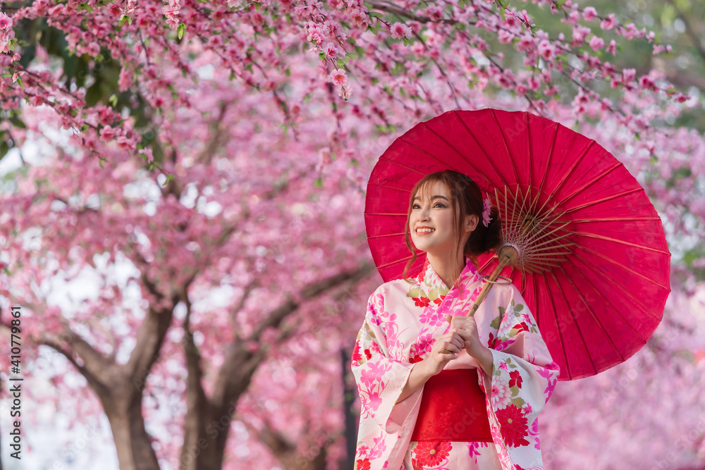 woman in yukata (kimono dress) holding umbrella and looking sakura flower or cherry blossom blooming in garden - obrazy, fototapety, plakaty 