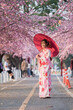 © geargodz - woman in yukata (kimono dress) holding umbrella and looking sakura flower or cherry blossom blooming in garden