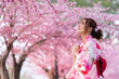 © geargodz - woman in yukata (kimono dress) looking sakura flower or cherry blossom blooming in garden