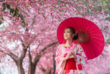 Fototapeta  - woman in yukata (kimono dress) holding umbrella and looking sakura flower or cherry blossom blooming in garden