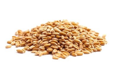 Wall Mural - A Pile of Spelt Grain Isolated on a White Background