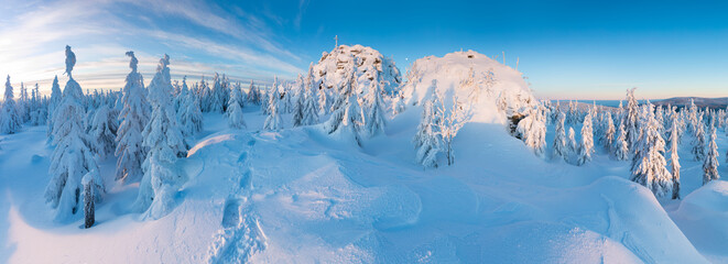 Wall Mural - Panoramic landscape of Jizera Mountains, view from peak Izera with frosty spruce forest, trees and hills. Winter time near ski resort, blue sky background. Liberec, Czech Republic, Northern Bohemia