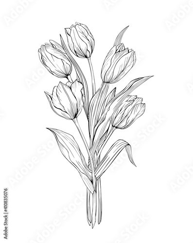 Bouquet of tulips art line black and white pattern isolated. Drawing of ...
