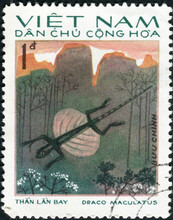VIETNAM - CIRCA 1983: A Stamp Printed In Vietnam Shows Animal Reptile Flying Gecko