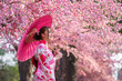 © geargodz - woman in yukata (kimono dress) holding umbrella and looking sakura flower or cherry blossom blooming in garden