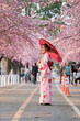© geargodz - woman in yukata (kimono dress) holding umbrella and looking sakura flower or cherry blossom blooming in garden