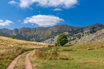 Wall Mural - path in the mountains