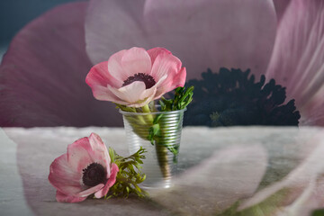 art installation two pink anemone flowers in cups on a gray background
